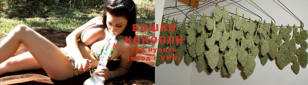каннабис Билибино