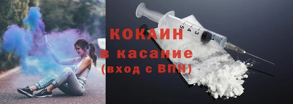 стафф Богданович