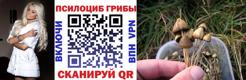 Псилоцибиновые грибы мицелий  Великий Устюг 